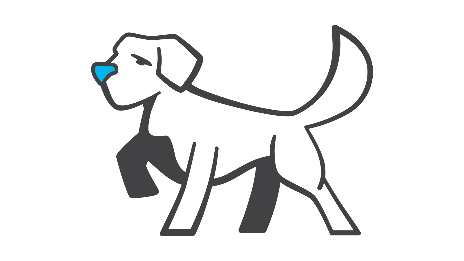 1600x900 Erion Insurance Group From Grimsby To Fort Erie