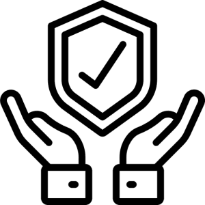 300x300 insurance customs