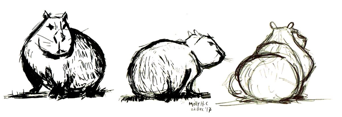 1200x413 Molly Heady Carroll On Twitter Zoo Drawing Weird Pen Edition