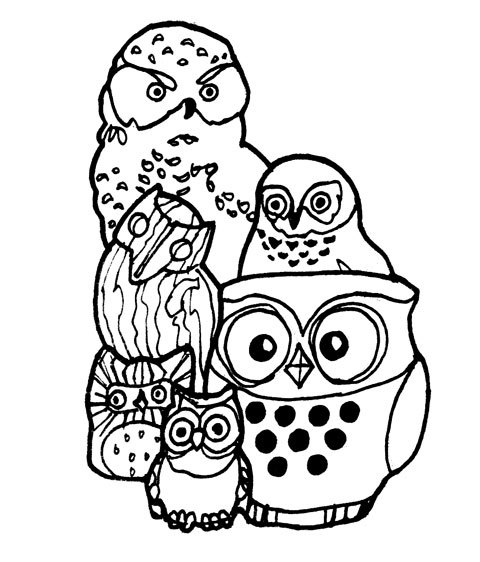 480x562 Owl Collection Swizzle Studio
