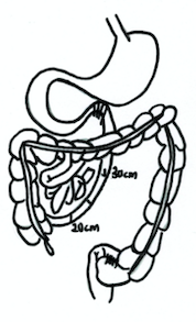 Intestines Drawing | Free download on ClipArtMag