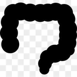 260x260 intestine png