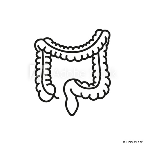 Intestines Drawing | Free download on ClipArtMag