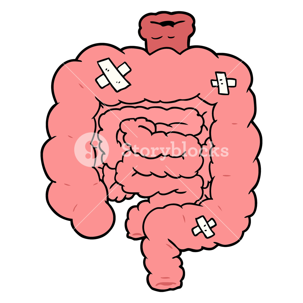 1000x1000 Cartoon Repaired Intestines Royalty Free Stock Image
