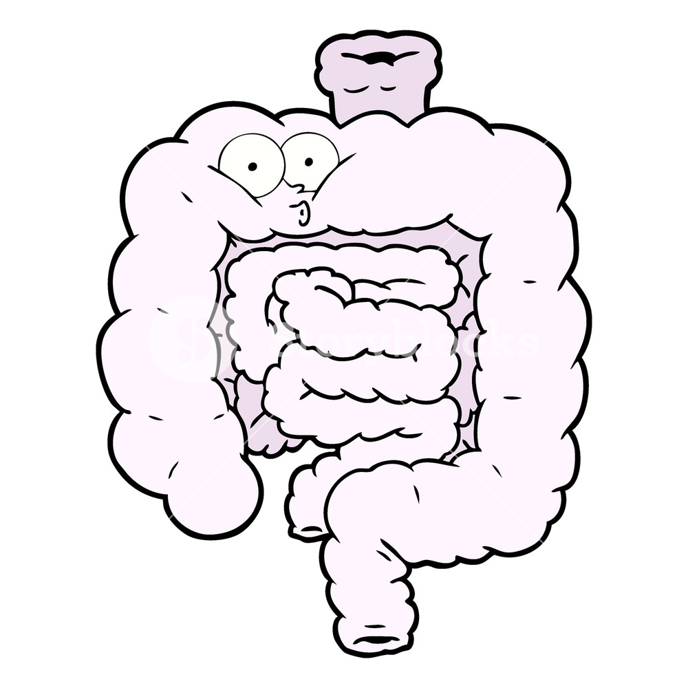 1000x1000 Cartoon Surprised Intestines Royalty Free Stock Image