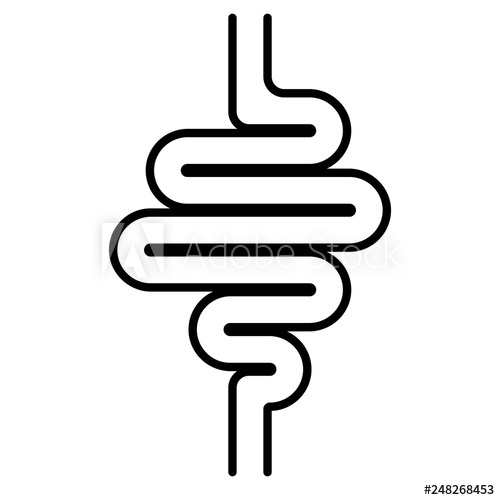 500x500 icon digestive tract, intestines, the vector sign