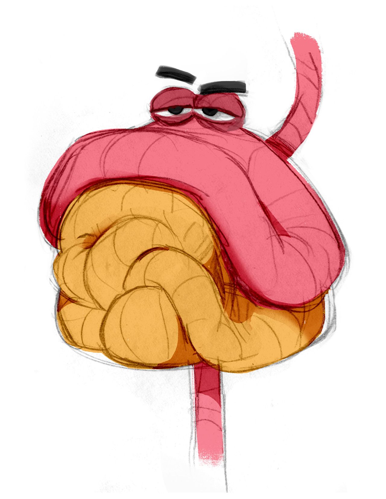 1280x1656 Design Of The Intestines For The Short Inner Workings Doodle