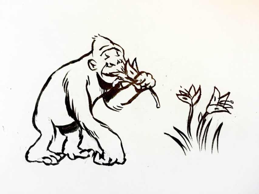 853x640 Introduction To Cartooningdrawing