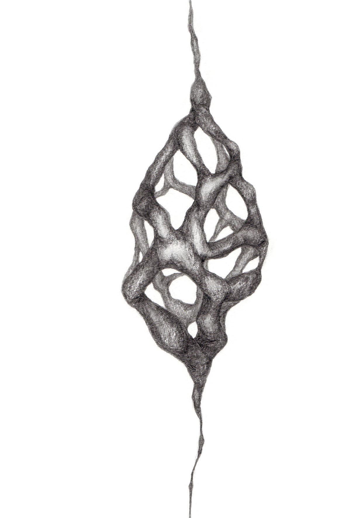 1232x1772 cocoon for invisible pupa' pencil on paper also available as
