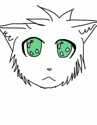 320x414 Wip! My Own Warrior Cat! I Just Started Minutes Ago! So Hard