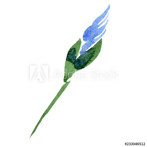 500x500 Purple Iris Floral Botanical Flower Watercolour Drawing