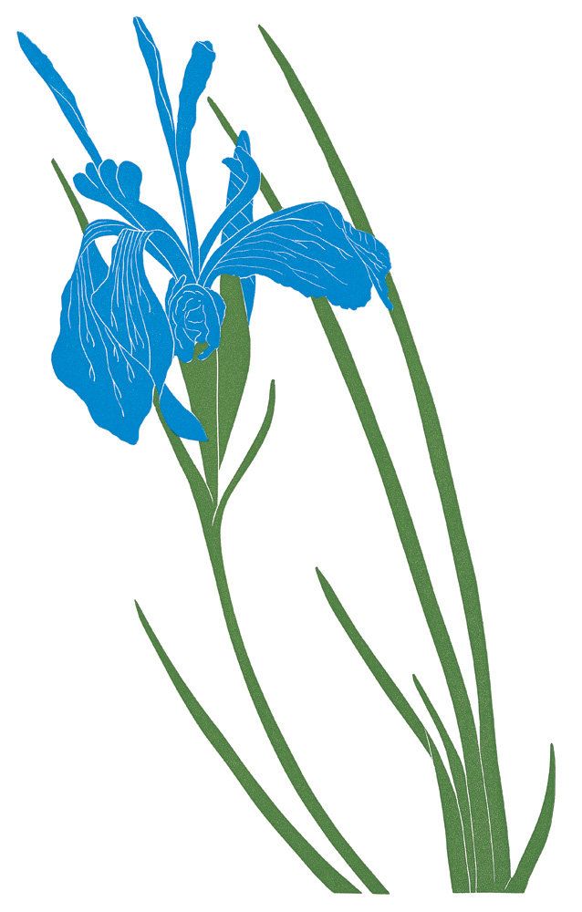 638x1000 seeing things henry evans via nyt