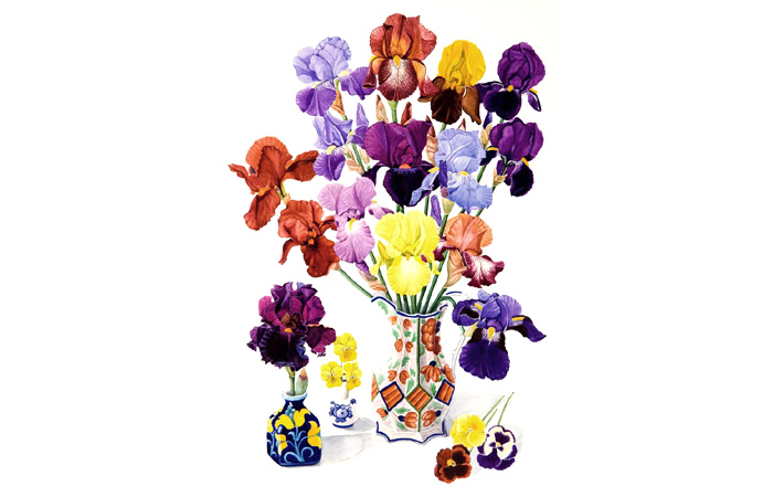 700x450 Watercolour Plant Portraits Sheperd House Garden