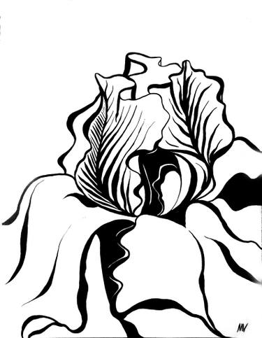 375x483 Ink Iris Drawing