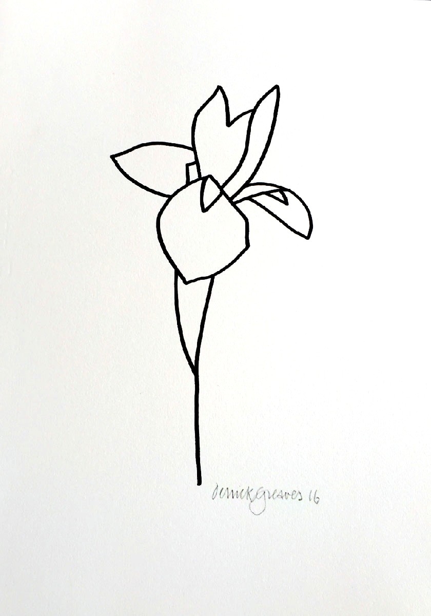 840x1200 Iris Drawing