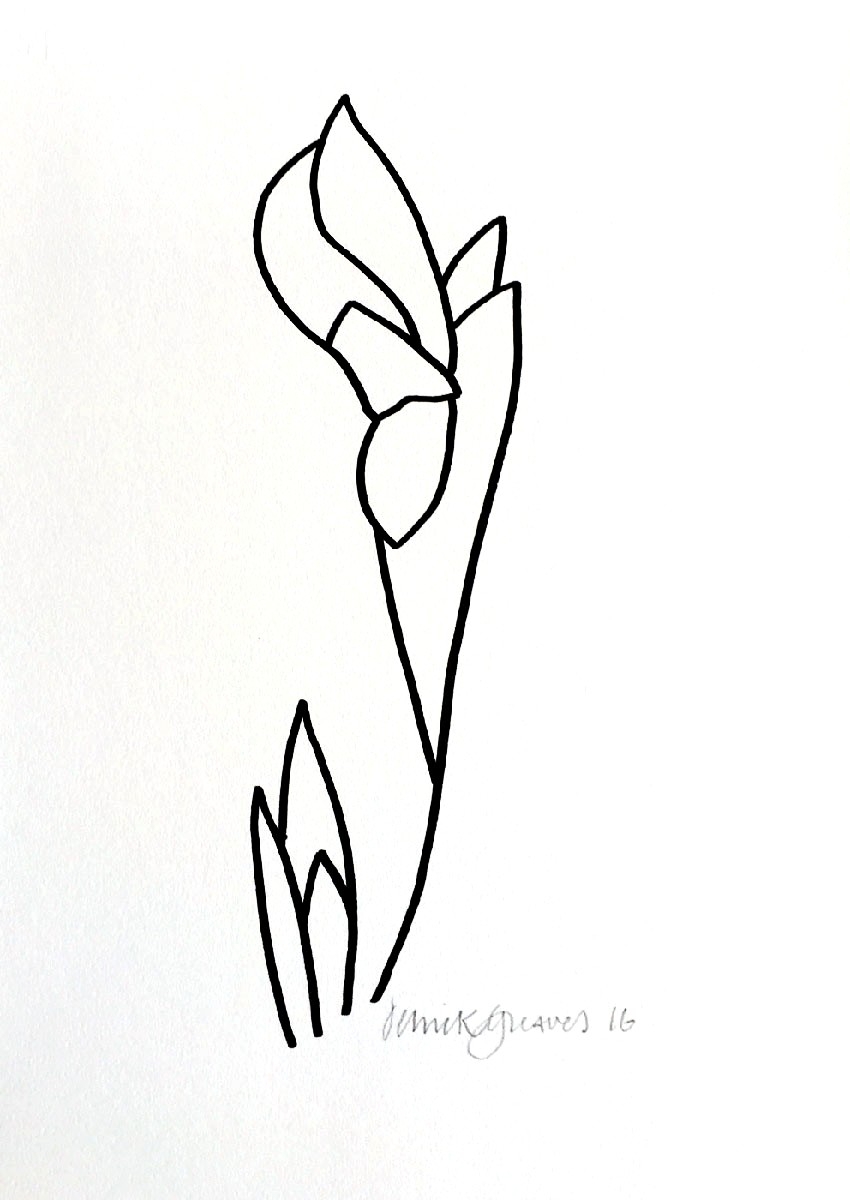 850x1200 Iris Drawing