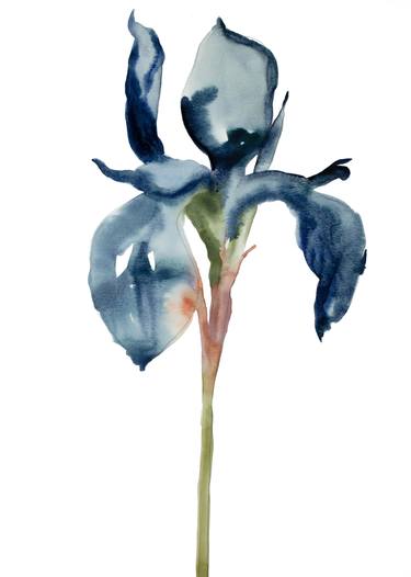 375x526 Iris No Painting