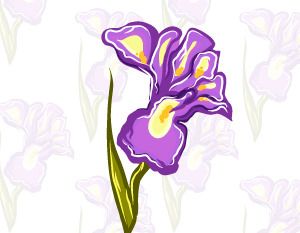 300x233 Iris Flower Free Vectors Ui Download
