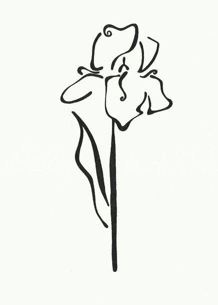 436x610 Iris Flower