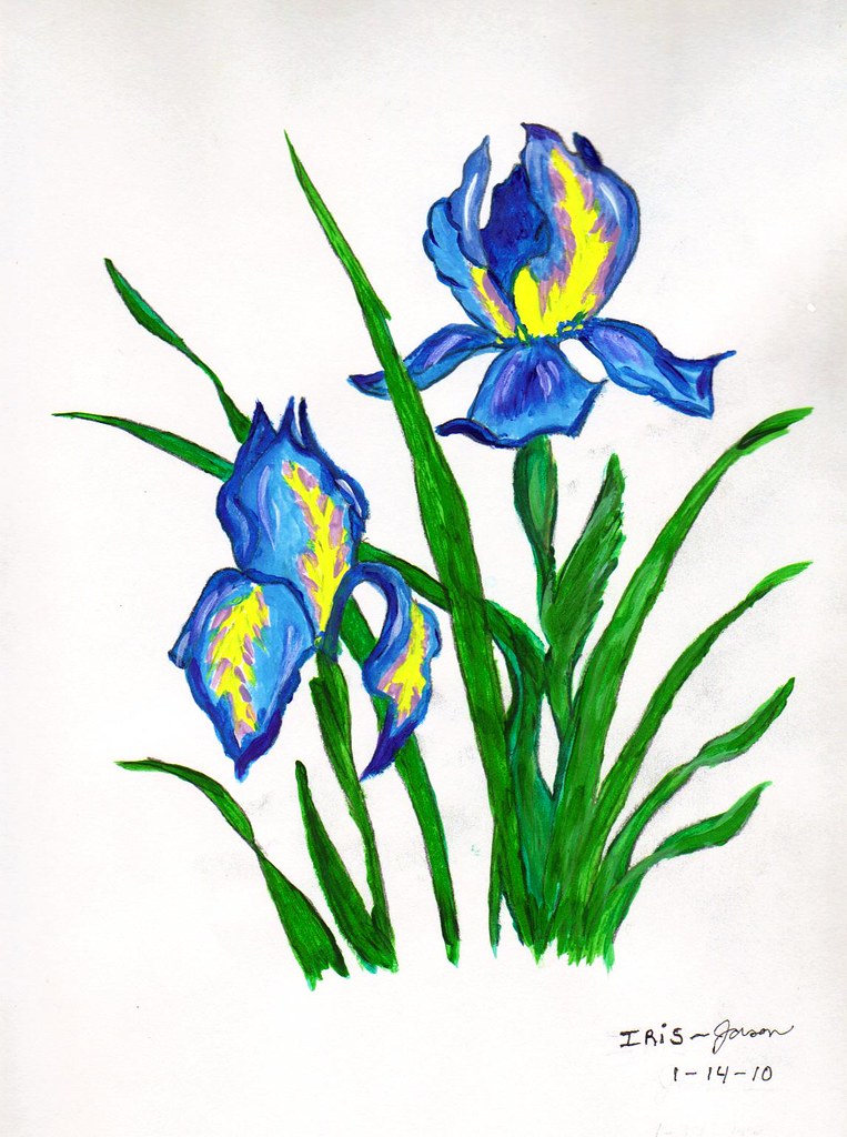 763x1024 The World's Most Recently Posted Photos Of Iris And Pencil