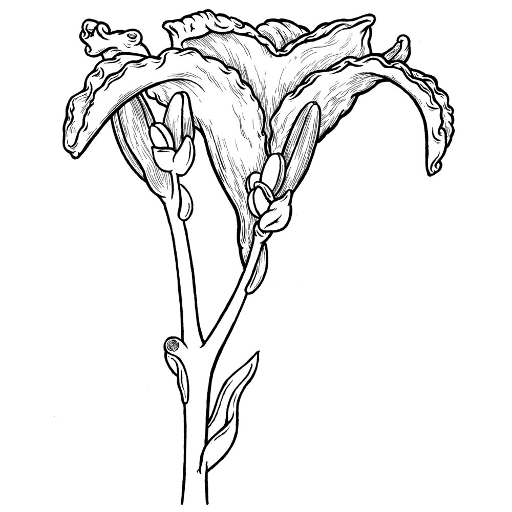 1000x1000 Lilly Mugshot Scott Teplin