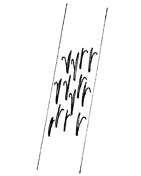 540x673 Schematic Drawing Of Aeshna Tuberculifera Oviposition Scars