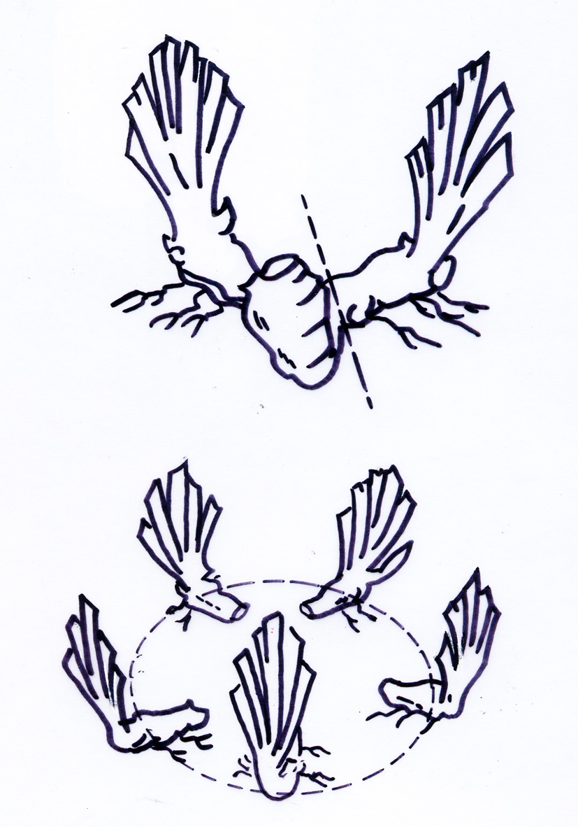 827x1182 De Vullierens How To Grow