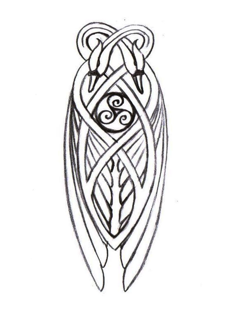 816x1056 Pics For Gt Celtic Harp Drawing Swansong Celtic Tattoos, Swan