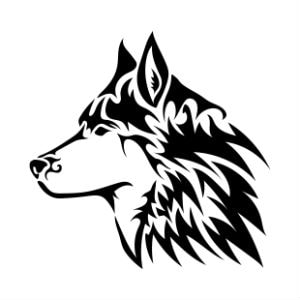 300x300 How Much Does An Irish Wolfhound Cost