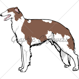 325x325 Irish Wolfhound Sit Gl Stock Images