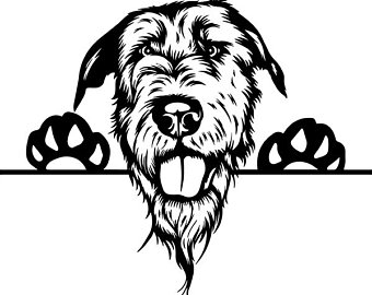 340x270 Wolfhound Drawing Etsy