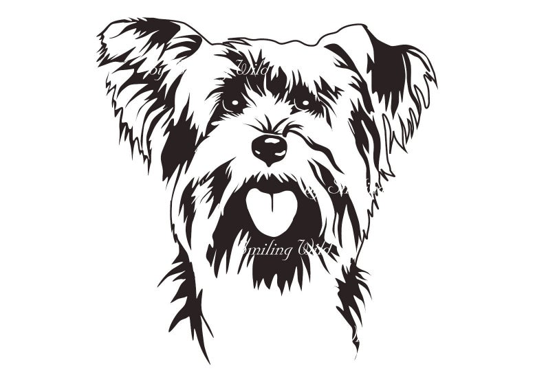 Irish Wolfhound Drawing | Free download on ClipArtMag