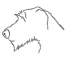 220x200 Irish Wolfhound How To Draw