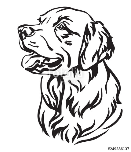 429x500 Decorative Portrait Of Dog Golden Retriever Vector Illustration