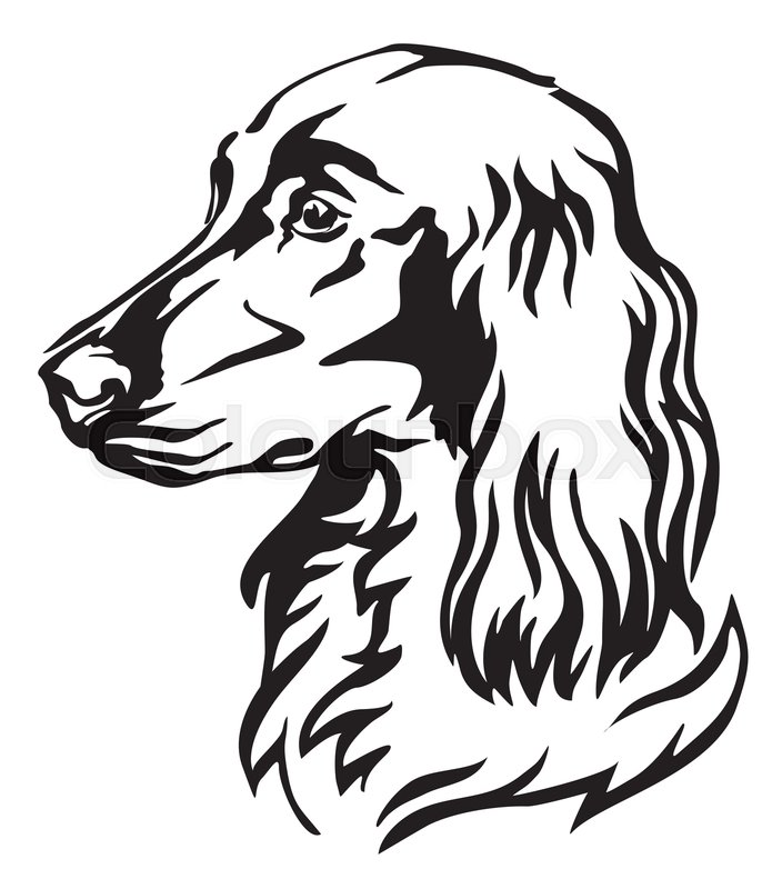 686x800 Decorative Portrait Of Dog Irish Stock Vector Colourbox