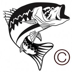 236x236 best fish images images pisces, drawings, draw
