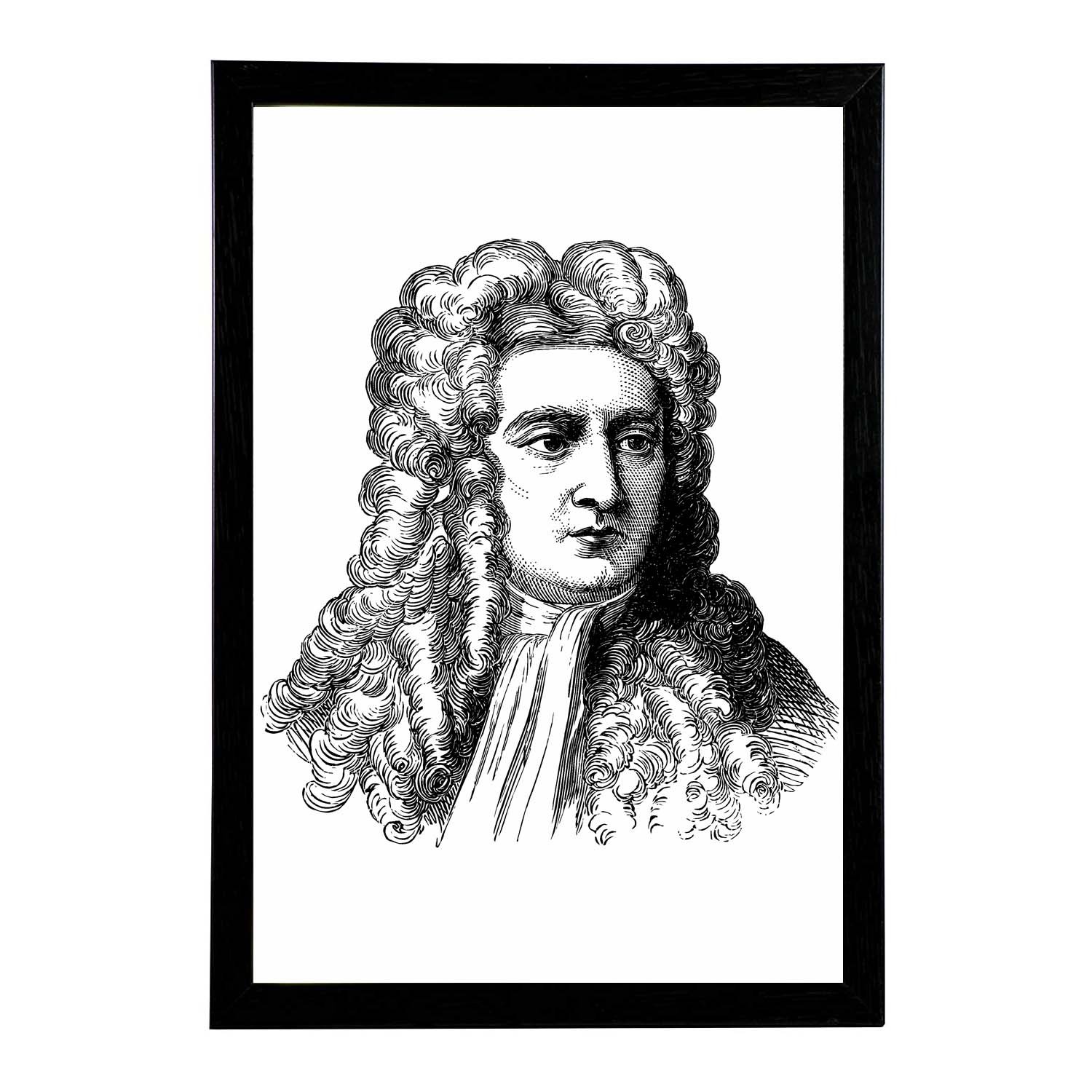 Isaac Newton Drawing | Free download on ClipArtMag