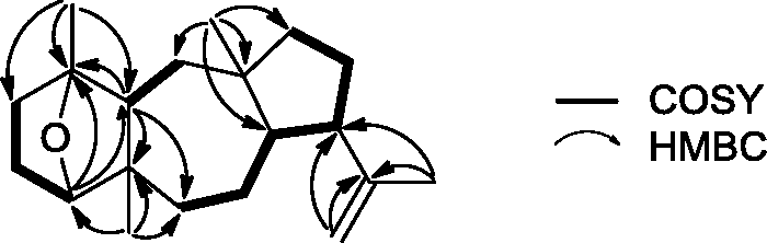 700x222 Figure From Isolation And Structure Elucidation Of Three New