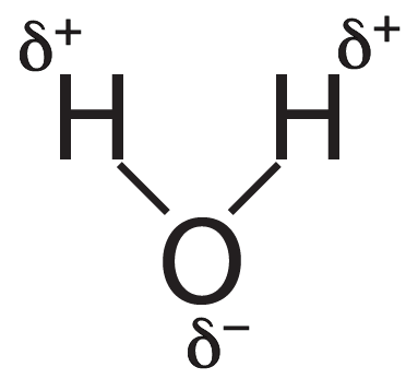 383x347 Polar Water V Less Polar Alcohol A Virtual Lab Sciencemusicvideos