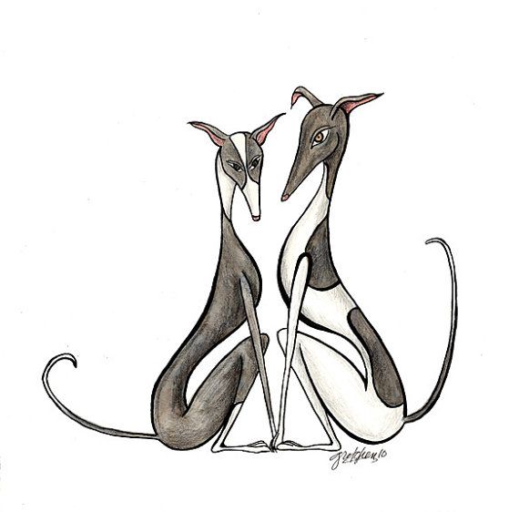 Italian Greyhound Drawing