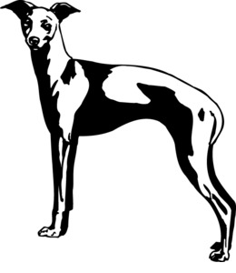 260x300 Drawing, Illustration, Graphics, Transparent Png Image Clipart