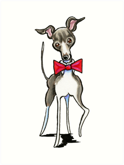 413x549 Italian Greyhound Antonio Art Prints