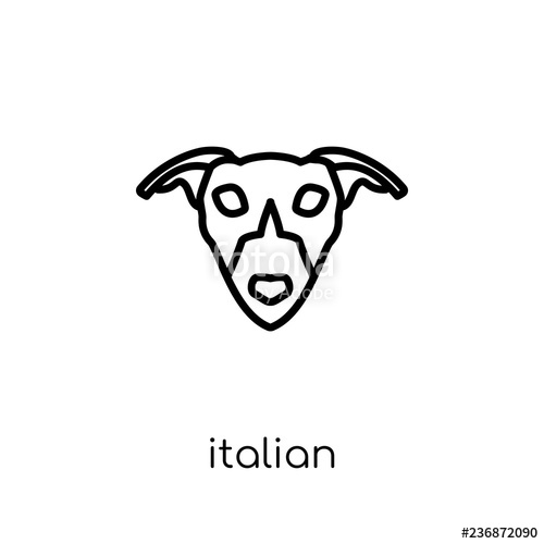 500x500 Italian Greyhound Dog Icon Trendy Modern Flat Linear Vector