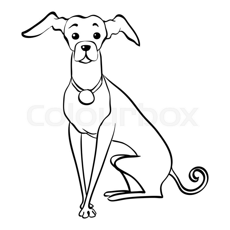 800x800 Sketch Funny Dog Italian Greyhound Stock Vector Colourbox