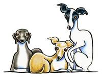 200x151 Stunning Italian Greyhound Drawings And Illustrations For Sale