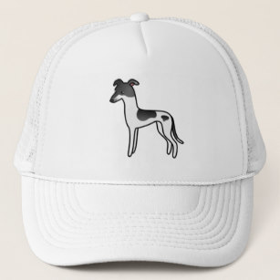 307x307 Cartoon Greyhound Accessories