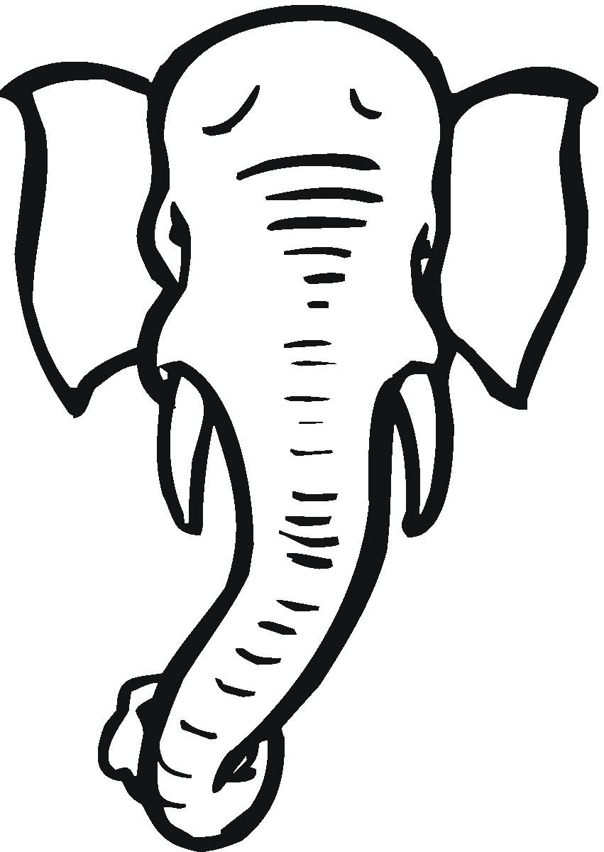 851x1200 elephant tusk clipart