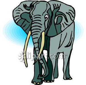 300x296 ivory clipart