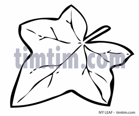 450x378 Free Drawing Of Leaf Ivy Bw From The Category Climate Nature