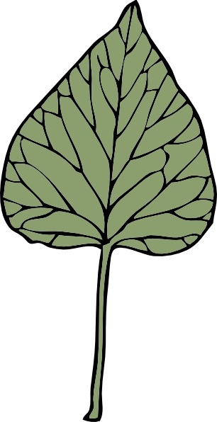 306x596 Ivy Leaf Clip Art Free Vector In Open Office Drawing